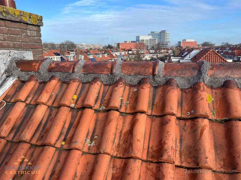 Castricum Daken Renoveren