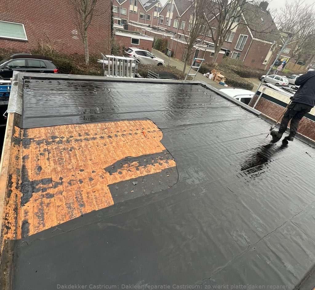 Dakleer Reparatie Castricum