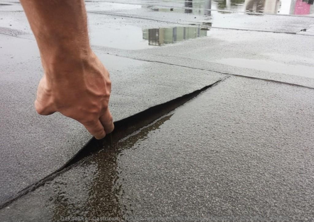 Kosten Repareren Daklekkage Castricum