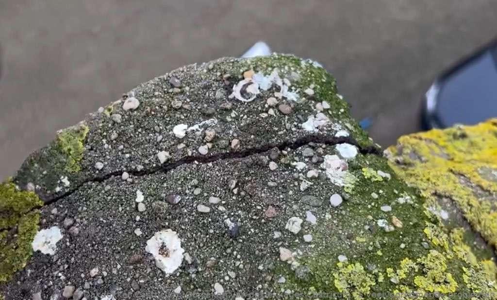 Oorzaken Van Daklekkages Castricum
