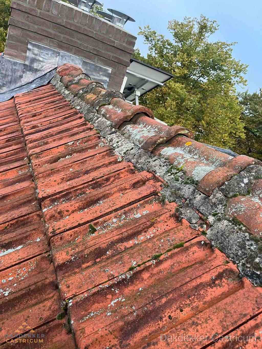 Renovatie Hellend Dak Castricum